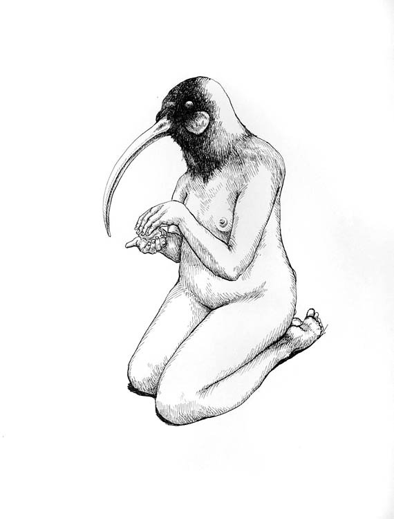 Nude Ibis, 2008